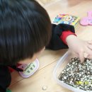 호저초등학교 병설유치원 이미지