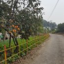 우신정사 이미지