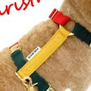 포리하우스 이미지