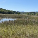 순포습지 이미지