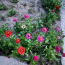 덕평농장 이미지