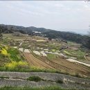 우리가 가꾸는 꽃길 | 3월 일본 규슈올레와 소도시 5일 여행 후기