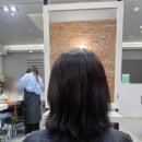 리엠 | 포항 리엠헤어 하림디자이너 매직시술 솔직 후기