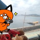 코코마마성산점 | 제주뷰맛집 : 성산일출봉 해안가 음식점에서 점심식사 & 바다풍경 즐기기 (@코코마마성산점)