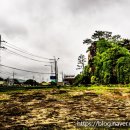 강형숙공인중개사사무소 이미지