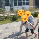 양성초등학교 이미지