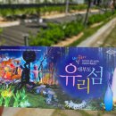 오면꽃예술 | 대부도 유리섬 박물관 후기 | 가족과 함께 가기 좋은 유리 예술 천국, 관람 동선 완벽 정리