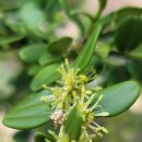 별스런 산책 이미지