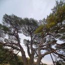 속리산둘레길 15구간(상현리반송-임곡리마을회관) 이미지