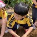 아이젤어린이집 이미지