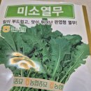 열무 이미지