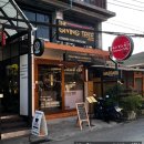 치앙마이 가성비 좋은 님만 마사지샵 추천 기빙트리 솔직 후기