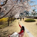 더러닝스퀘어 | 스케쳐스 운동화 추천｜맥스쿠셔닝엘리트3 러닝 후기와 클레오스퀘어 데일리코디