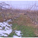 남일축산 이미지