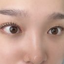 아리솜 이미지