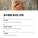 B12 이미지