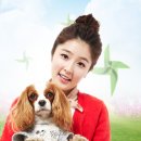 반려동물 셀프미용 이미지