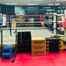 병점센트럴복싱 이미지