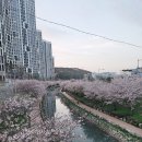 영도오션원탑공인중개사사무소 이미지