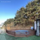 파인힐애견펜션 이미지