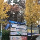 울산신정현수막 이미지