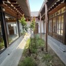 복순이네 이미지