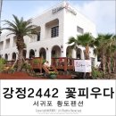 강정2442꽃피우다