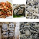 통영생굴 Daum카페
