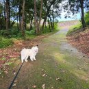 순천왜성 화장실 이미지