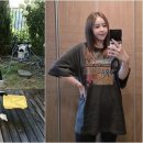 신지아파트 이미지