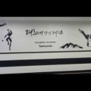 경희대 향남태권도 이미지