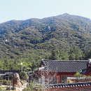 소향축산 헤럴드경제