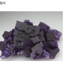 광석 Daum카페