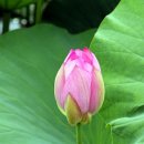 현내농장 이미지