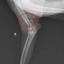 앙리동물병원 이미지