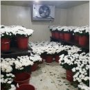 대구의료원 국화원 이미지