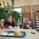 체리프루너스힐