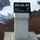 천주 이미지
