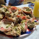 플로리다 대탄 이미지