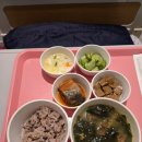 예일삼겹살 | [ 출산일기 ]평택 예일산부인과 제왕절개 출산 후기 6일차(6박 7일 1인실 입원 비용)