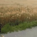 오신나