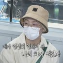 위너카