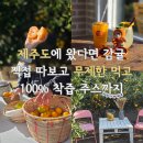 다운 농장 | 서귀포 감귤체험농장 무제한 시식 실화? 제주에인감귤밭 솔직 방문 후기