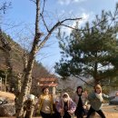 한솔이네 한옥 이미지