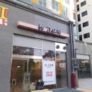 늘, 고운펫 네이버블로그