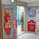 라인샵르페