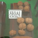 귀족호도 이미지