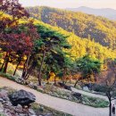 솔바람농장 | 충남 10월 가볼만한곳 베스트8 가을꽃과 단풍이 함께하는 가을 여행지