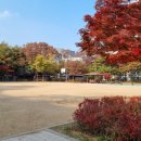 등촌근린공원 이미지