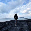 만춘농장 | 겨울 제주도 2박3일 여행코스 여행일정 공유 (가성비모드 가족여행)